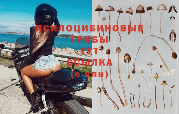 соль курить ск Бронницы