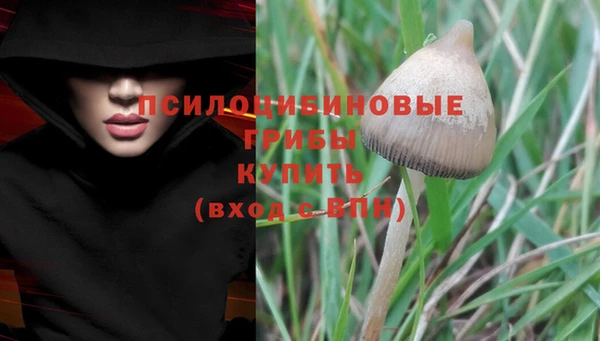 ALPHA-PVP Бугульма